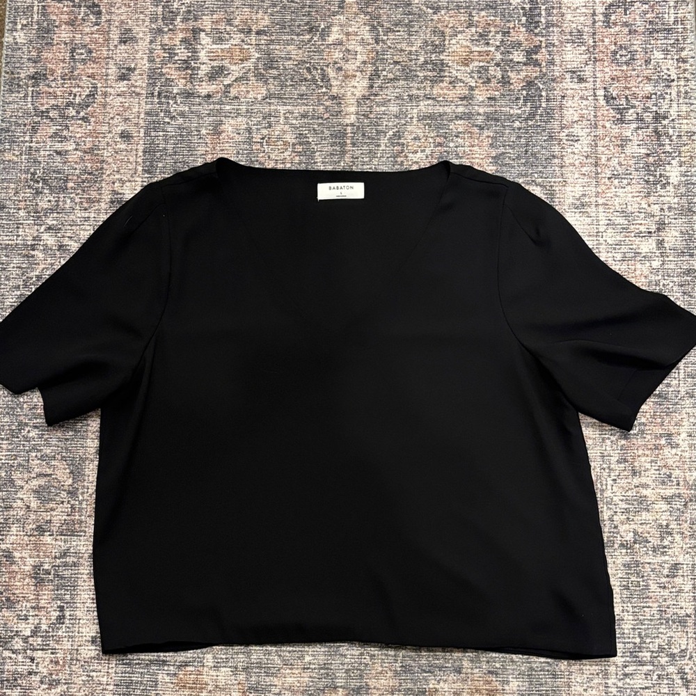 Aritzia/Babaton black v neck. Size L